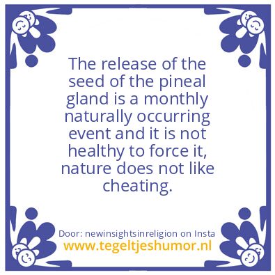 Tegeltje: Perhaps You Still Don’t Get It
