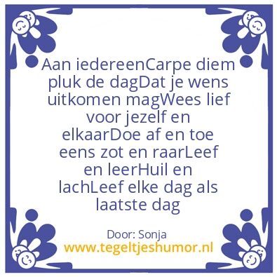 Tegeltje: Carpe diem