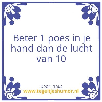 Tegeltje: poes