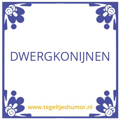 Tegeltje: dwergkonijnen