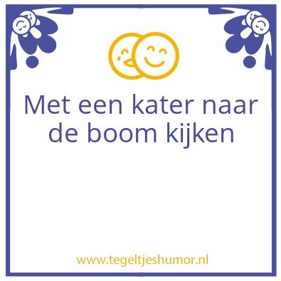 Tegeltje: Met een kater