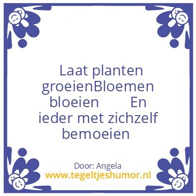 Tegeltje: Spreuk van de dag!