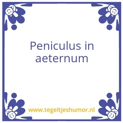 Tegeltje: dweilen