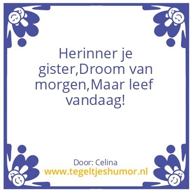 Tegeltje: Wijsheid