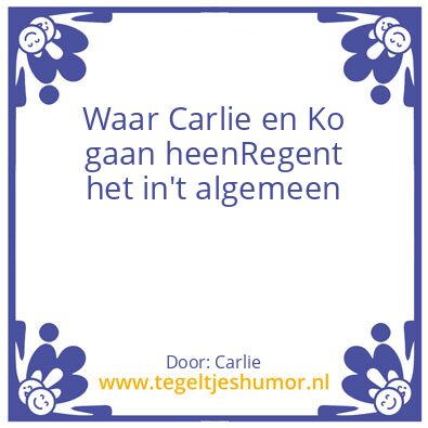 Tegeltje: Fiets