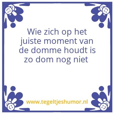 Tegeltje: domme