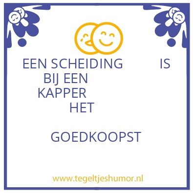 Tegeltje: S C H E I D I N G