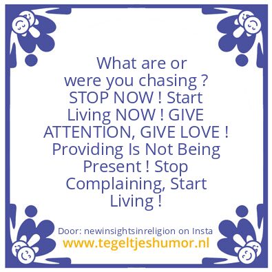 Tegeltje: What are or were you chasing ?