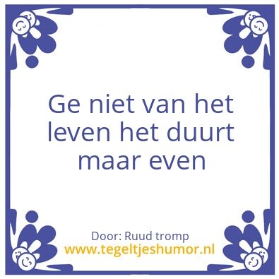 Tegeltje: plezier