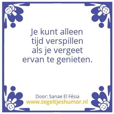 Tegeltje: Sanae Chehabi