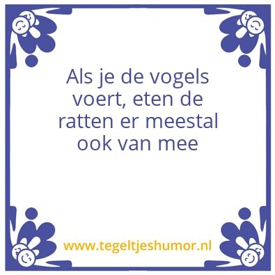Tegeltje: Vogels en ratten