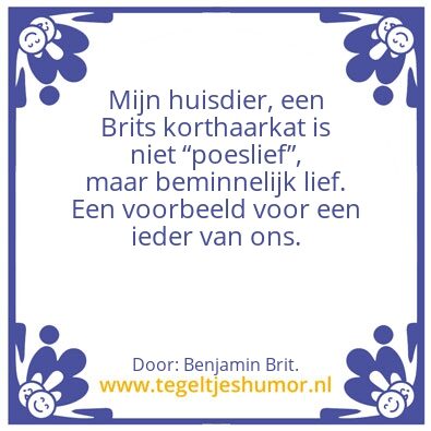 Tegeltje: Poeslief