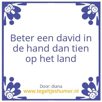 Tegeltje: david