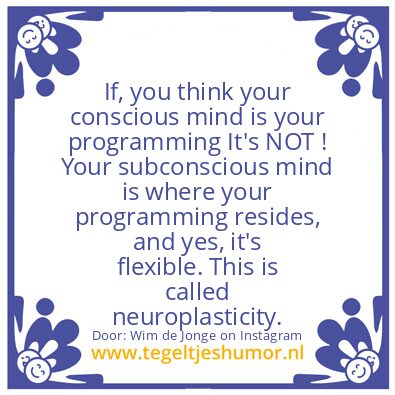 Tegeltje: neuroplasticity.
