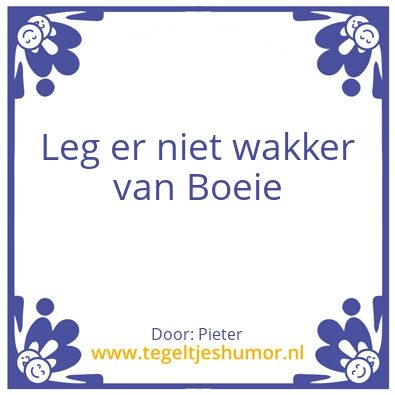 Tegeltje: Bjorn