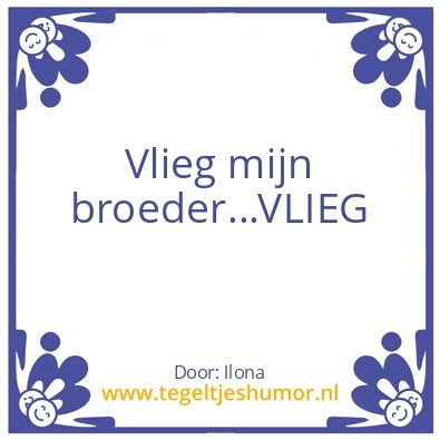 Tegeltje: Ilona