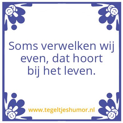 Tegeltje: Dio
