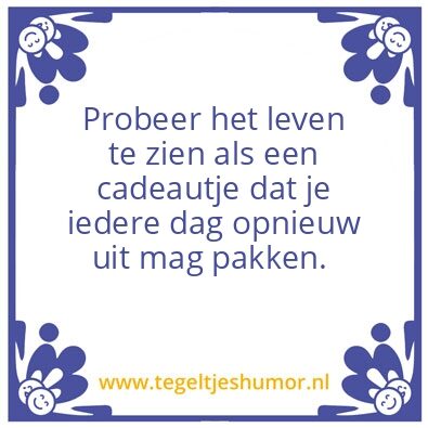 Tegeltje: Cadeautje