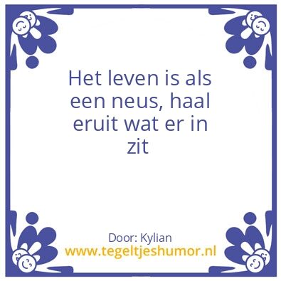 Tegeltje: Neus