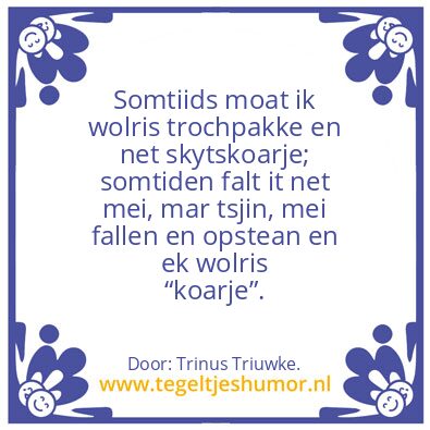 Tegeltje: Skytskoarje.