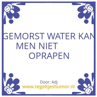 Tegeltje: Foutje  ????