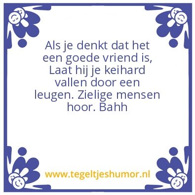 Tegeltje: Nep vrienden