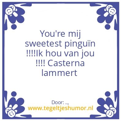 Tegeltje: Lieve john
