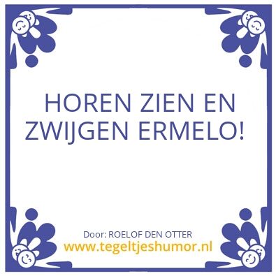 Tegeltje: ERMELO…