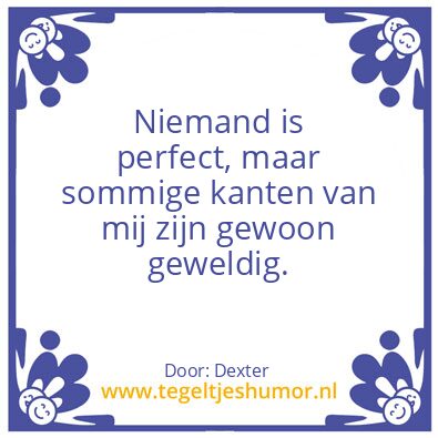 Tegeltje: Niemand is perfect