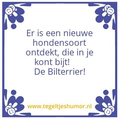 Tegeltje: bilterrier