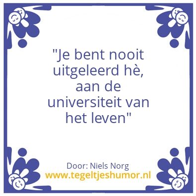Tegeltje: Niels