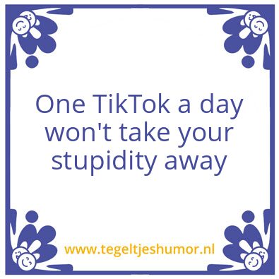 Tegeltje: Tiktok Stupidity