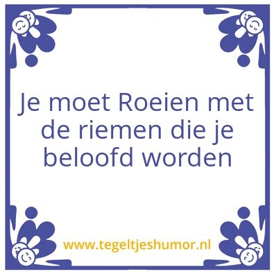 Tegeltje: roein met de riemen