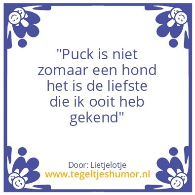 Tegeltje: Lietjelotje