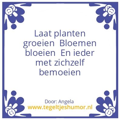 Tegeltje: Spreuk van de dag!