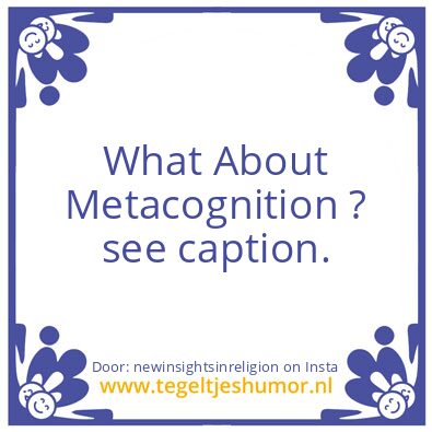 Tegeltje: What About Metacognition ?