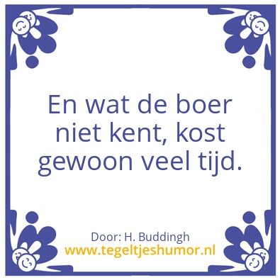 Tegeltje: Buddingh Wijsheid