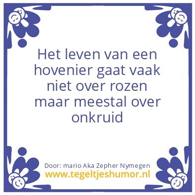 Tegeltje: rozen?