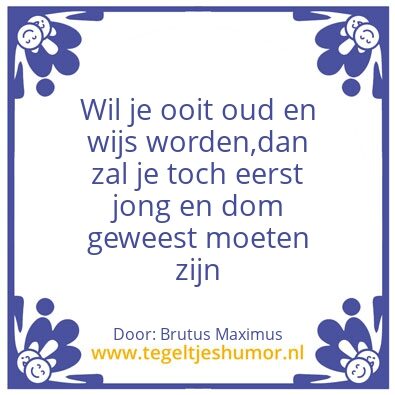 Tegeltje: Wijs en dom