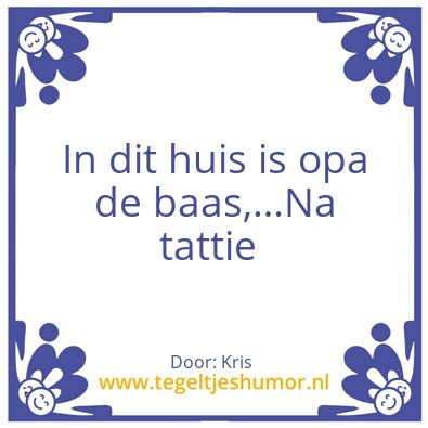 Tegeltje: Ludo