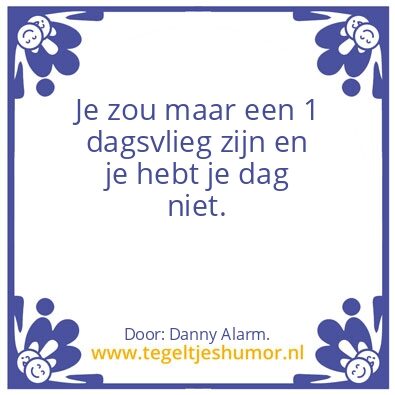 Tegeltje: 1 dagsvlieg