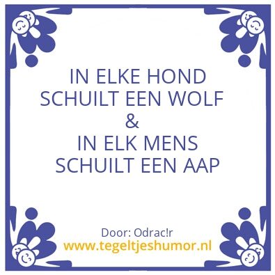 Tegeltje: Hond, wolf, mens, aap