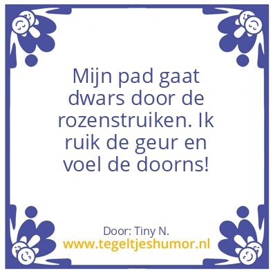 Tegeltje: Rozen